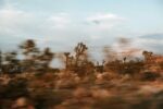 ryan-james-christopher-OCvncu_sHEY-unsplash